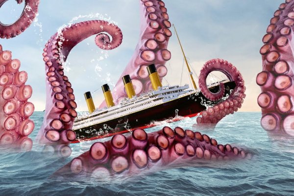 Kraken market place